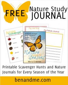 Why Study Nature? (FREE Seasons Nature Scavenger Hunt Printable) #naturestudy #CharlotteMason