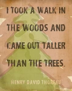 I took a walk in the woods and came out taller than the trees.