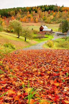 Sleepy Hollow Farm ~ Vermont. Sleepy Hollow close to my heart!