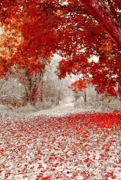 First Snowfall, Duluth, Minnesota  Absolutely Breath Taking!!
