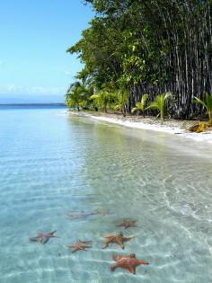 Playa de las Estrellas, Bocas del Toro, Panama