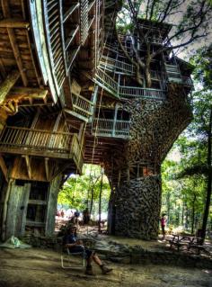 tree house