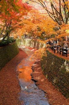 ღღ Kyoto, Japan