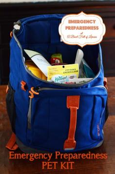 emergency preparedness pet kit