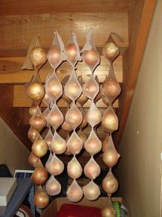 Onions stored in pantyhose will last as long as 8 months. -- lots of food storage tricks