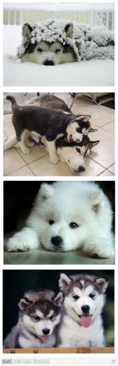 fluff balls