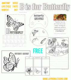 B is for Butterfly Lifecycle, Lapbook & Notebooking Pages.