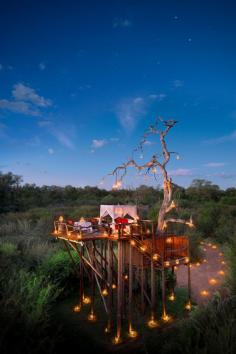 Tree Huts on the Lion Sands Game Reserve in South Africa