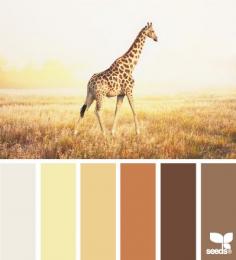 giraffe tones - voor meer kleurinspiratie en kleurentrends check ook www.wonenonline.n... eens