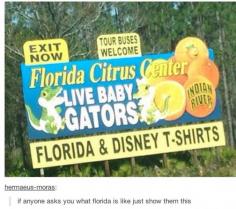 i saw this sign at least 30 times when I went to Disney World