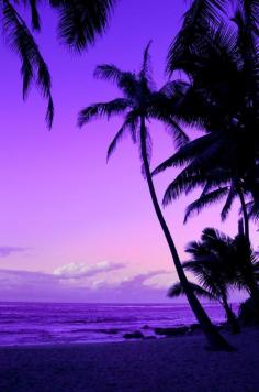 Tropical Sunset in Purple