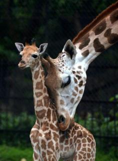 Mother and child. (Dibyangshu Sakar / AFP -Getty Images