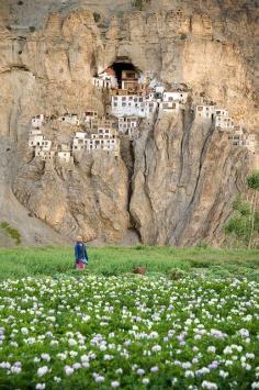 Buildings on the rock - Phugtal Monastery, India