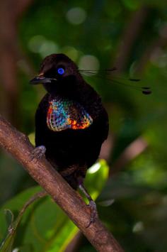 This photo was taken on March 28, 2013 in Tanubada, Central, Papua New Guinea, using a Canon EOS REBEL T3i.