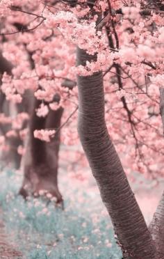 Because of you, in gardens of blossoming flowers I ache from the perfumes of spring.  - Pablo Neruda