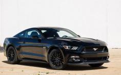 Here is a brand-new 2015 Ford Mustang dressed in all black it will be a top performer