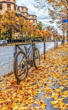 Late autumn fall of the leaves Paris