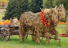Fall horse carriage display made out of corn husks!