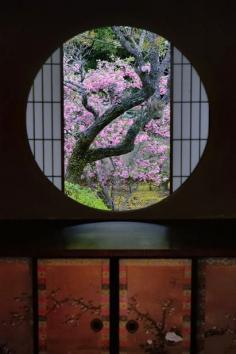 A window of Enlightenment at Unryu-in temple -- Japan