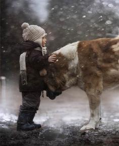 Russian mom, Elena Shumilova, captures family, farm life in beautiful photos. This is her son, Vanya, with one of the family's dogs. What else can I say, but amazing photography, beautiful child with a beautiful dog...