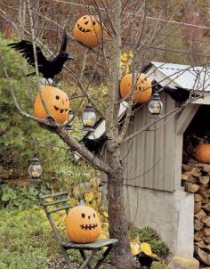 Spooktacular Tree~ Bare-limbed trees provide the perfect ghostly perch for jack-o'-lanterns, candle lanterns, and a flock of faux black crows. Funkins (fake pumpkins) are especially good for this project since they are lighter. And as always... I would add some spider webs!