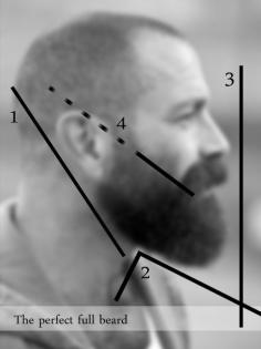 Lol... who knew there was a geometric scale for beards.