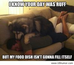 Haha ..Dogs..the only creature that loves you more than himself..unless they're hungry