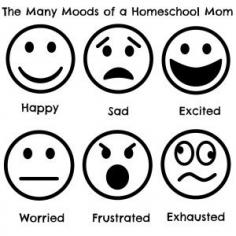 
                        
                            The Many Moods of a Homeschool Mom (a reflection on the many mood of a homeschool mom and the possible causes for those moods)
                        
                    