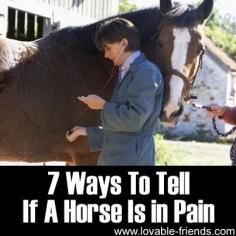 Horses cannot speak and tell you when they are suffering. We found this great article that will help you determine if your horse is in pain