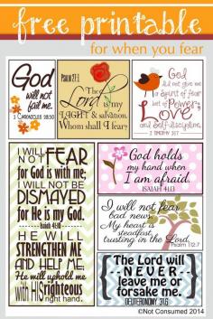 
                        
                            Does fear sometimes settle into your heart? Use God's truth  to remind yourself of the peace that you can have instead! FREE Printable scripture cards.
                        
                    