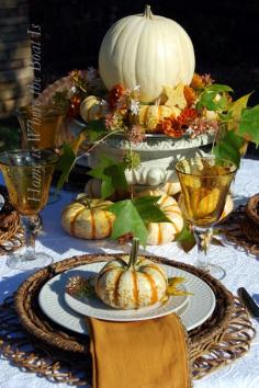 
                        
                            Autumn tablescape from the Home is Where the Boat Is blog
                        
                    