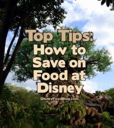 
                        
                            Top Tips on How to Save on Food at Disney World! #WDW
                        
                    