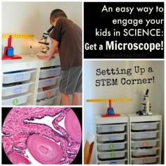 
                    
                        Ignite wonder and encourage exploration with a microscope...  Compound vs. Dissecting Microscope comparison.
                    
                