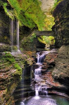 
                    
                        Watkins Glen State Park, New York
                    
                