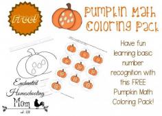 
                        
                            Come have fun learning basic number recognition with this FREE Pumpkin Math Coloring Pack! #homeschool #printable
                        
                    