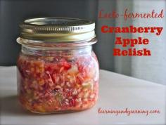 
                        
                            Lacto-fermented cranberry apple relish is a perfect way to add probiotics to your holiday meals. | LearningAndYearning
                        
                    