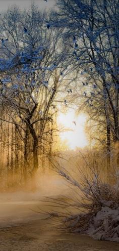 
                    
                        Winter's light • photo: Chris Pellaers on 500px
                    
                