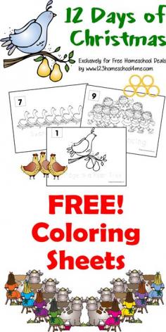 
                    
                        FREE 12 DAYS OF CHRISTMAS COLORING SHEETS!
                    
                