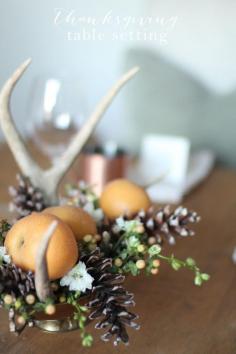 
                    
                        Rustic Thanksgiving centerpiece & other simple & beautiful diy Thanksgiving ideas including free printables!
                    
                