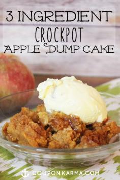 
                    
                        3 Ingredient Slow Cooker Apple Dump Cake | Money Saving Sisters
                    
                