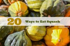 20 Delicious Ways to Eat Squash {Recipes}