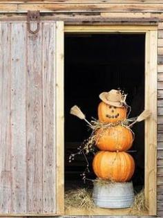 
                        
                            pumpkin scarecrow
                        
                    