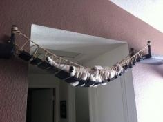 
                        
                            The Indiana Jones Cat Bridge. | 23 Insanely Clever Products Every Cat Owner Will Want
                        
                    