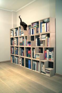 The Cat Library by Industrial Designer Corentin Dombrecht here's a link that works