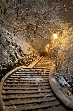 Winter Walk, Gellert Hill, Budapest, Hungary  #winter #scene #cold #snow #frozen #white