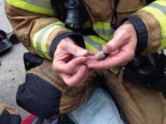 
                    
                        Firefighters make an itty-bitty oxygen mask to save 4 tine fire victims! So sweet!!!
                    
                