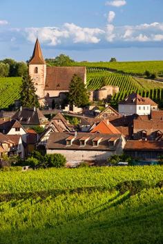 
                    
                        Village of Hunawihr, Alsace, France, vineyards
                    
                