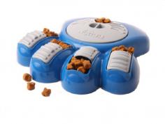 
                    
                        dog food activity center
                    
                