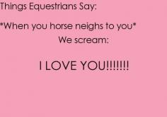 #ArabianHorses #Humor #Equestrians