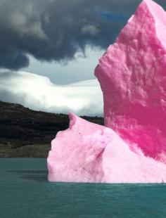 
                    
                        pink iceberg
                    
                